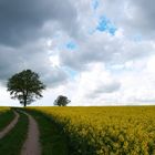 zwischen sonne und gewitter 2