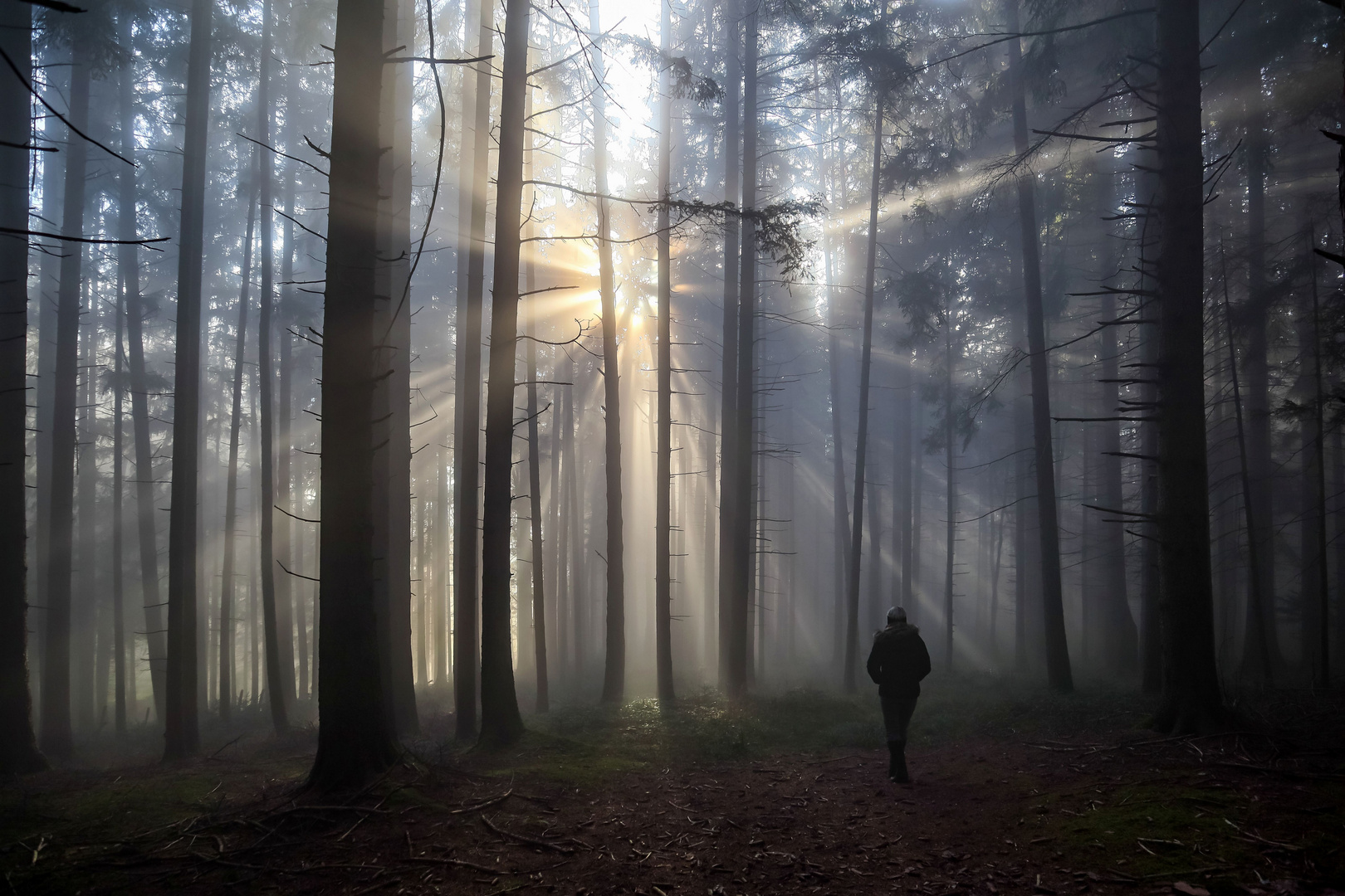 Zwischen Sonne und Nebel