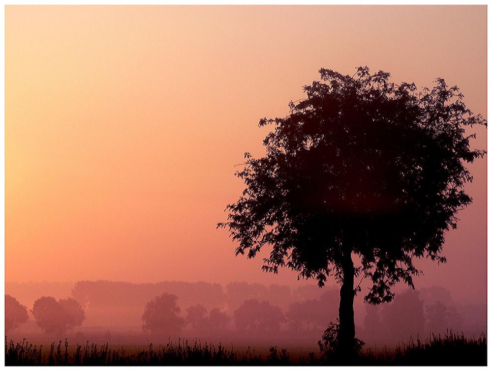 Zwischen Sonne und Nebel