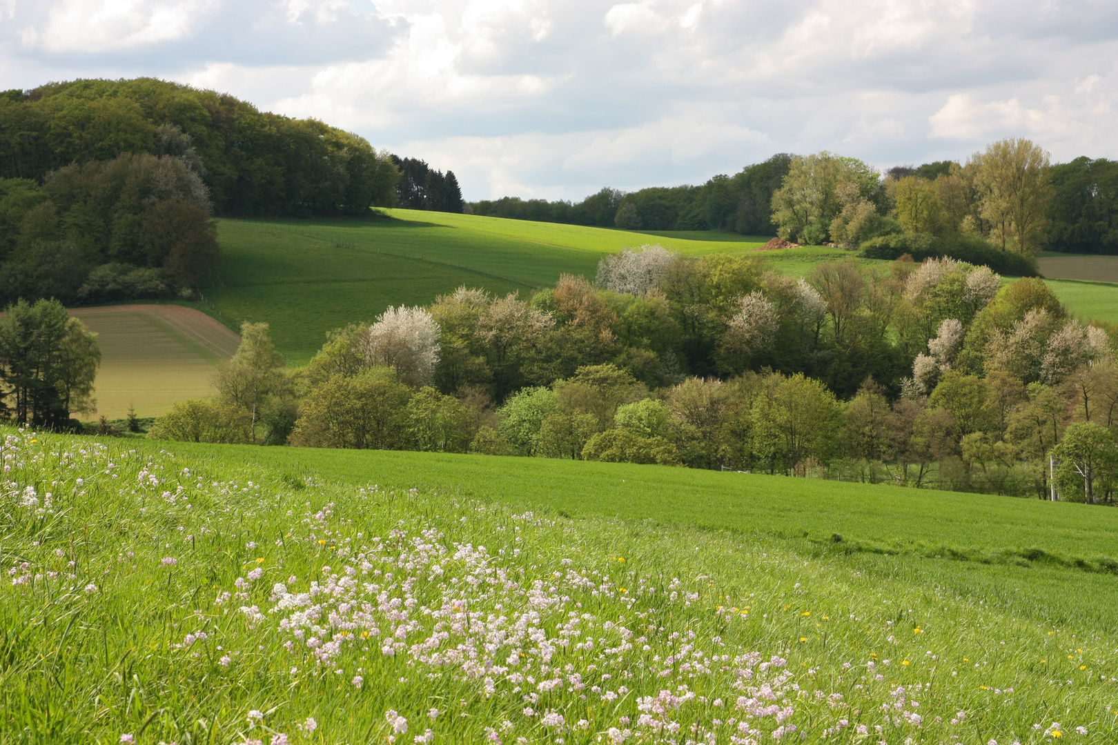 Zwischen Sonne und Regen (Elfringhauser Schweiz)