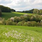 Zwischen Sonne und Regen (Elfringhauser Schweiz)