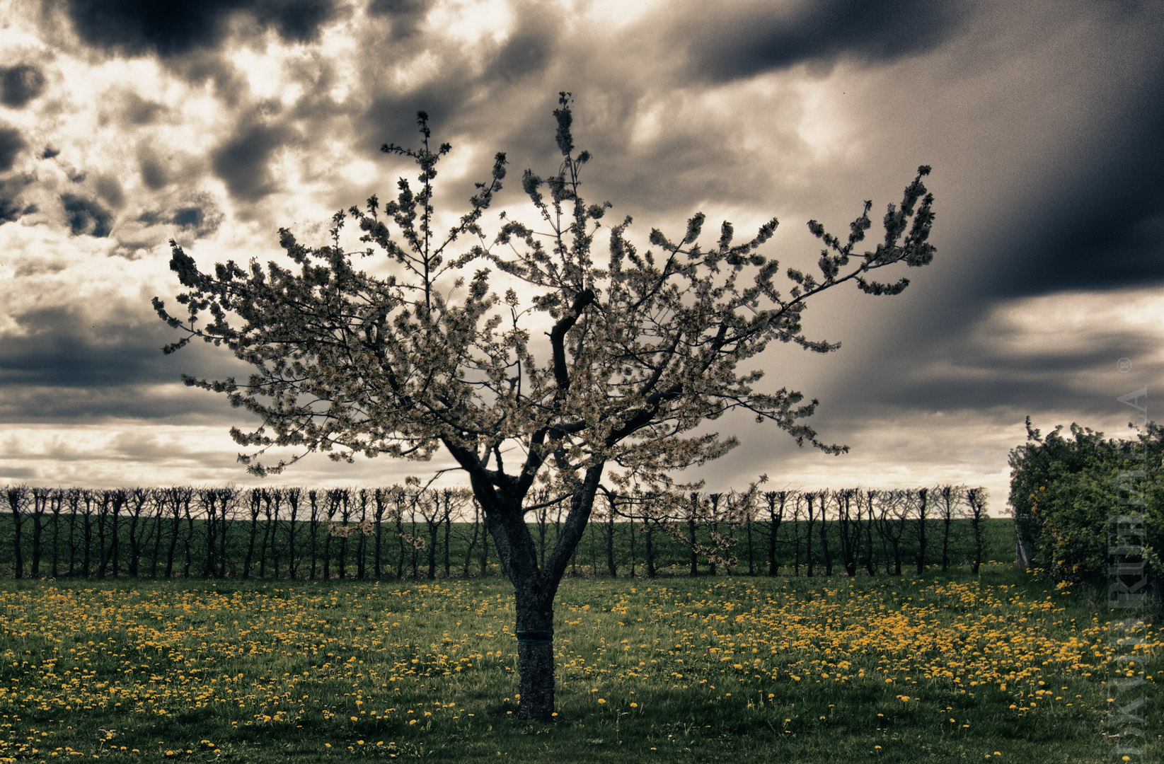 zwischen Sonne und Wolken