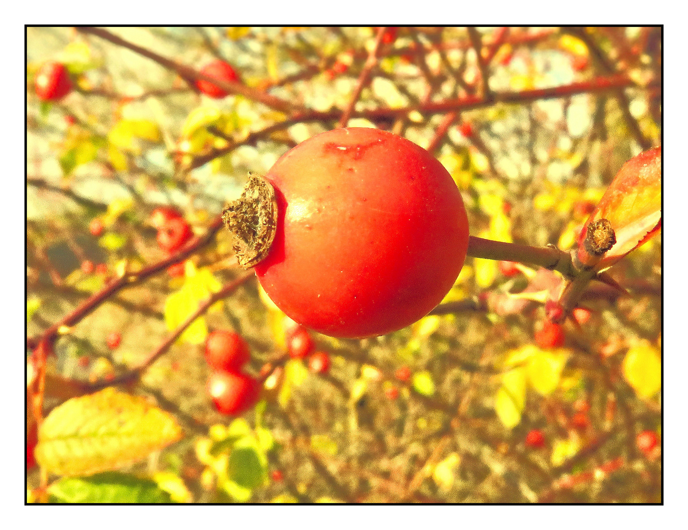 Zwischen Spätsommer und Herbst