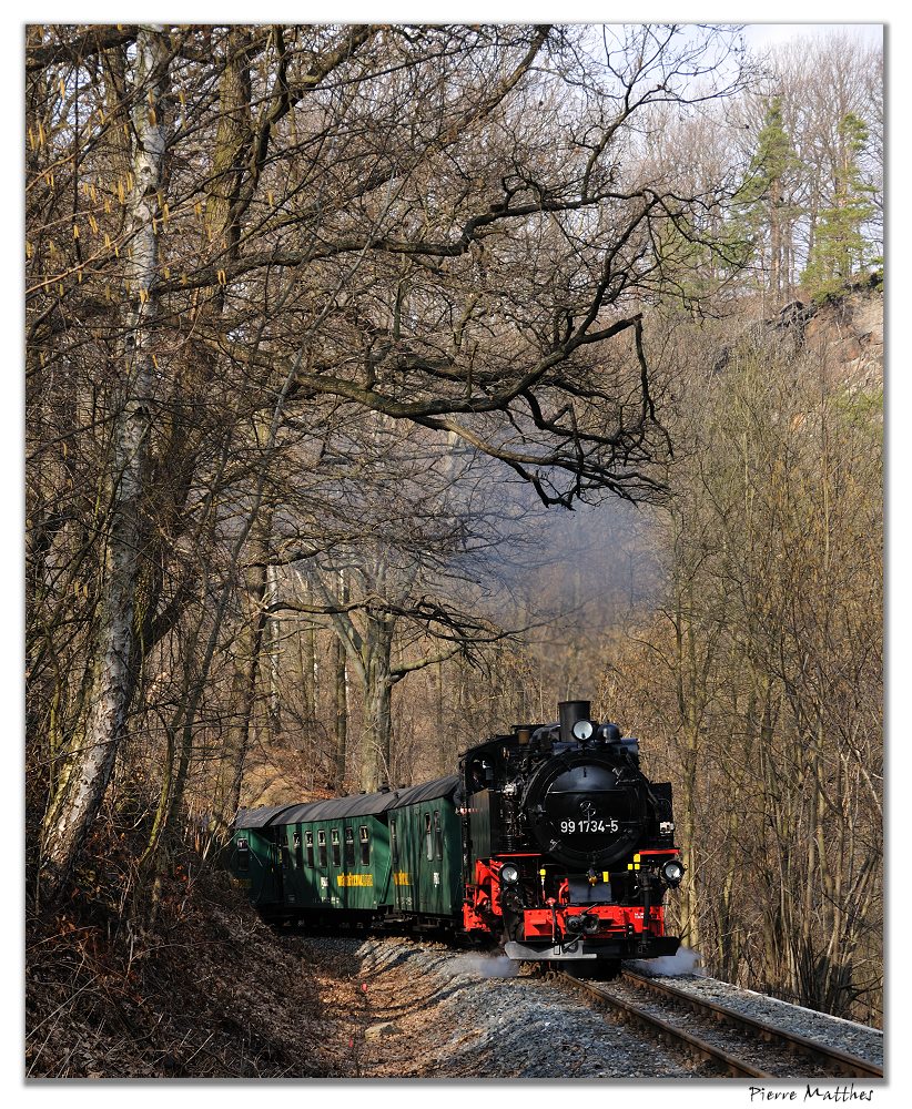 Zwischen Spechtritz und Seifersdorf