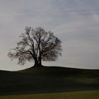 zwischen Spessart und Karwendel