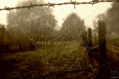 Zwischen Stacheldraht und Maschendraht 