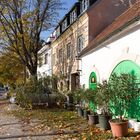 Zwischen Stammersdorf und Strebersdorf an den Hängen des Bisambergs (1)