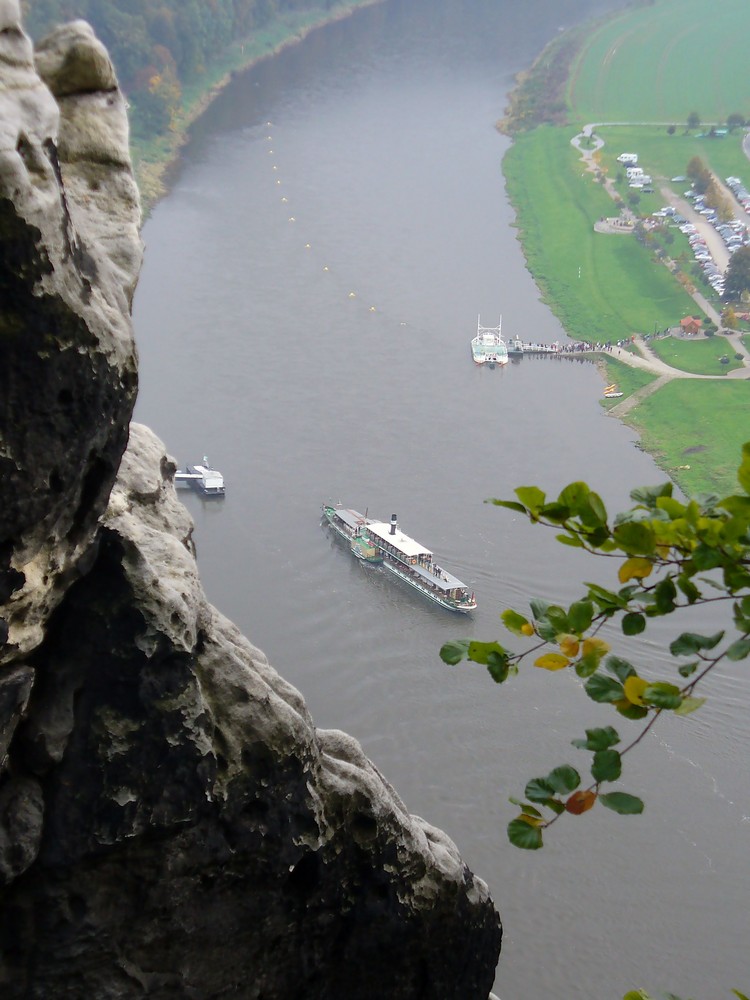 Zwischen Stein und Laub