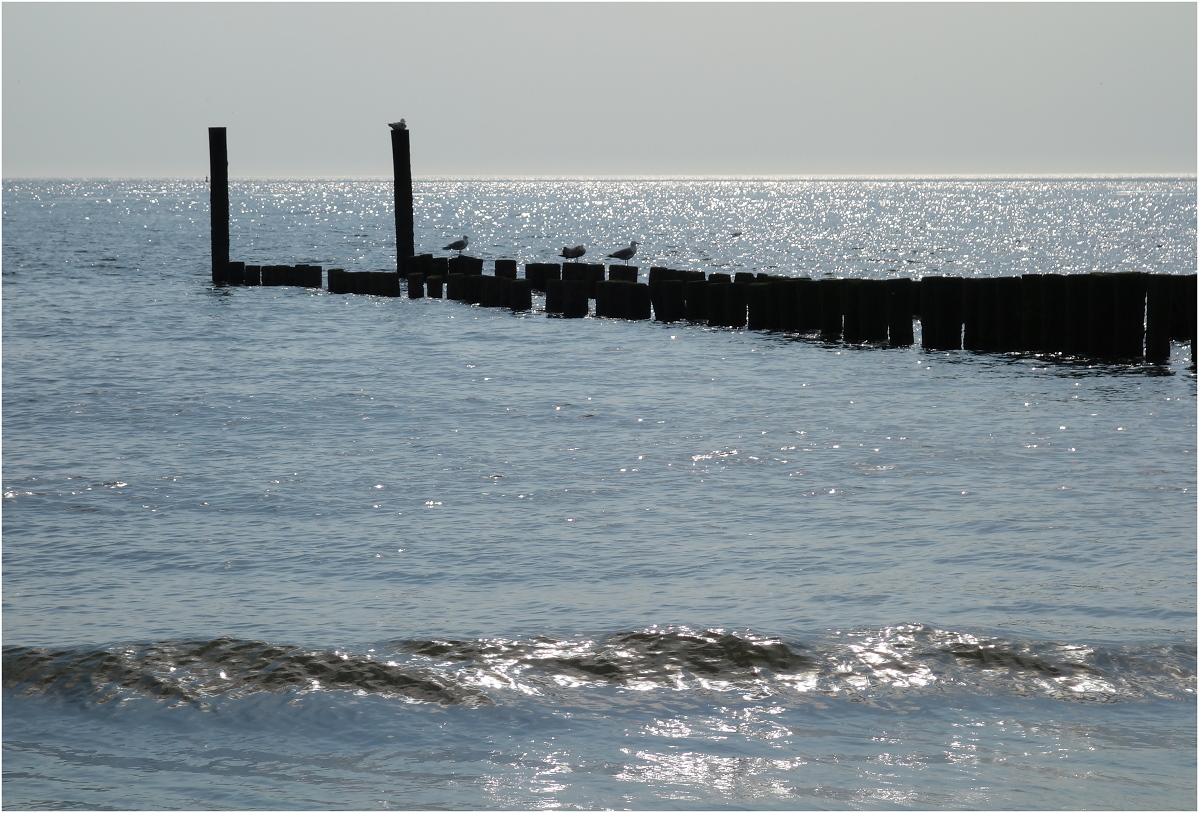 Zwischen Strand und Horizont