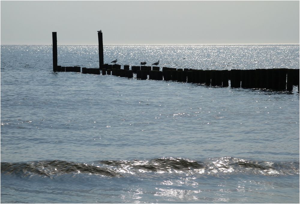 Zwischen Strand und Horizont