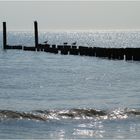 Zwischen Strand und Horizont