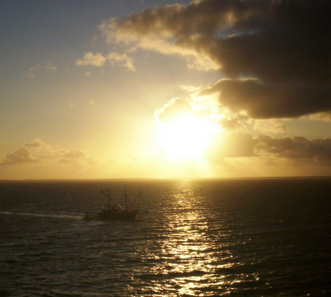 Zwischen Sylt und Römö