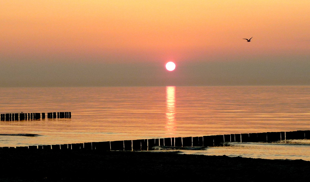 Zwischen Tag und Nacht auf dem Zingst