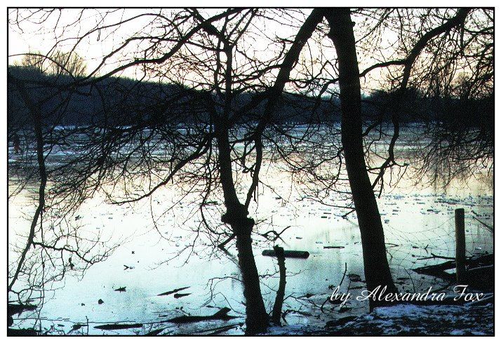 zwischen Tag und Nacht legt sich die Dämmerung