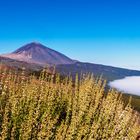 Zwischen Teide-Gipfel und Wolkenmeer