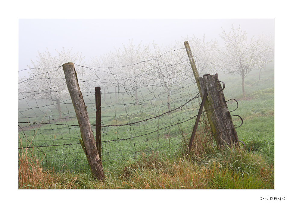 Zwischen Traum und Tag