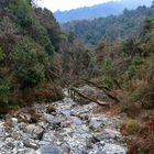 Zwischen Ulleri und Ghorepani auf dem Poon Hill Trek