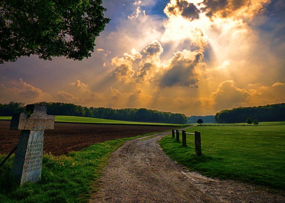 Zwischen Veen und Birten