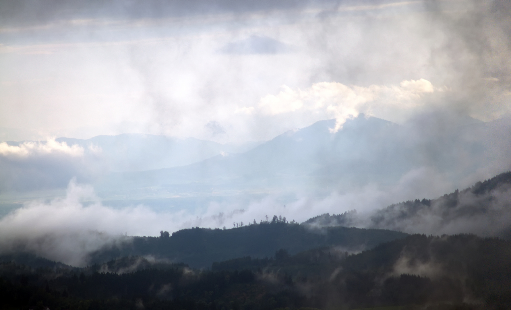 zwischen Vogesen und Schwarzwald