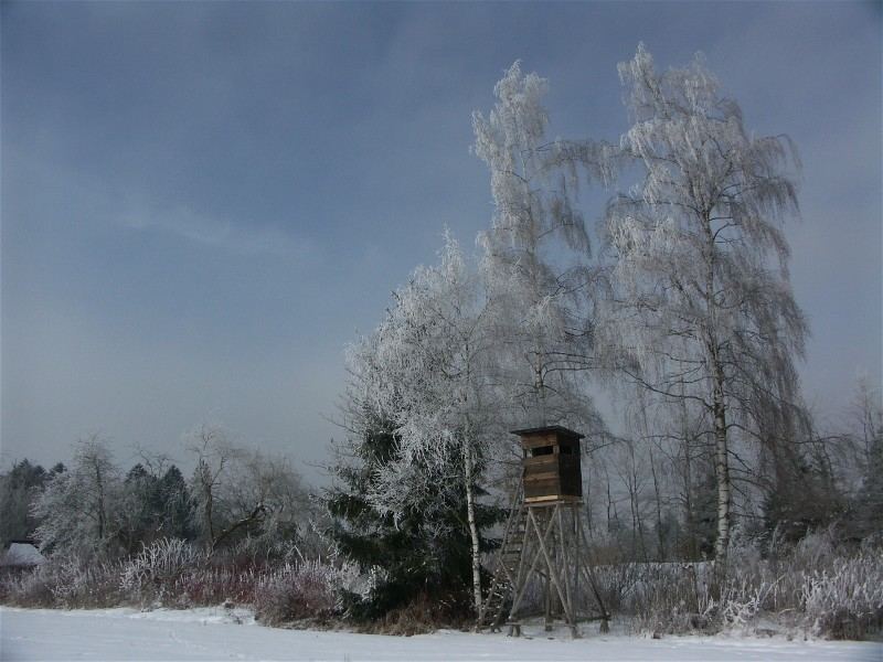 Zwischen Wald und Feld