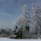 Zwischen Wald und Feld