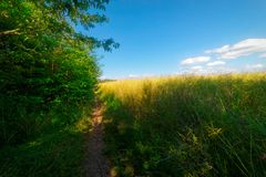 zwischen Wald und Feld