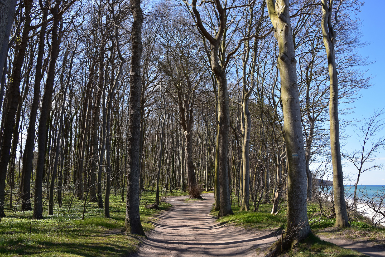 Zwischen Warnemünde und Wilhelmshöhe