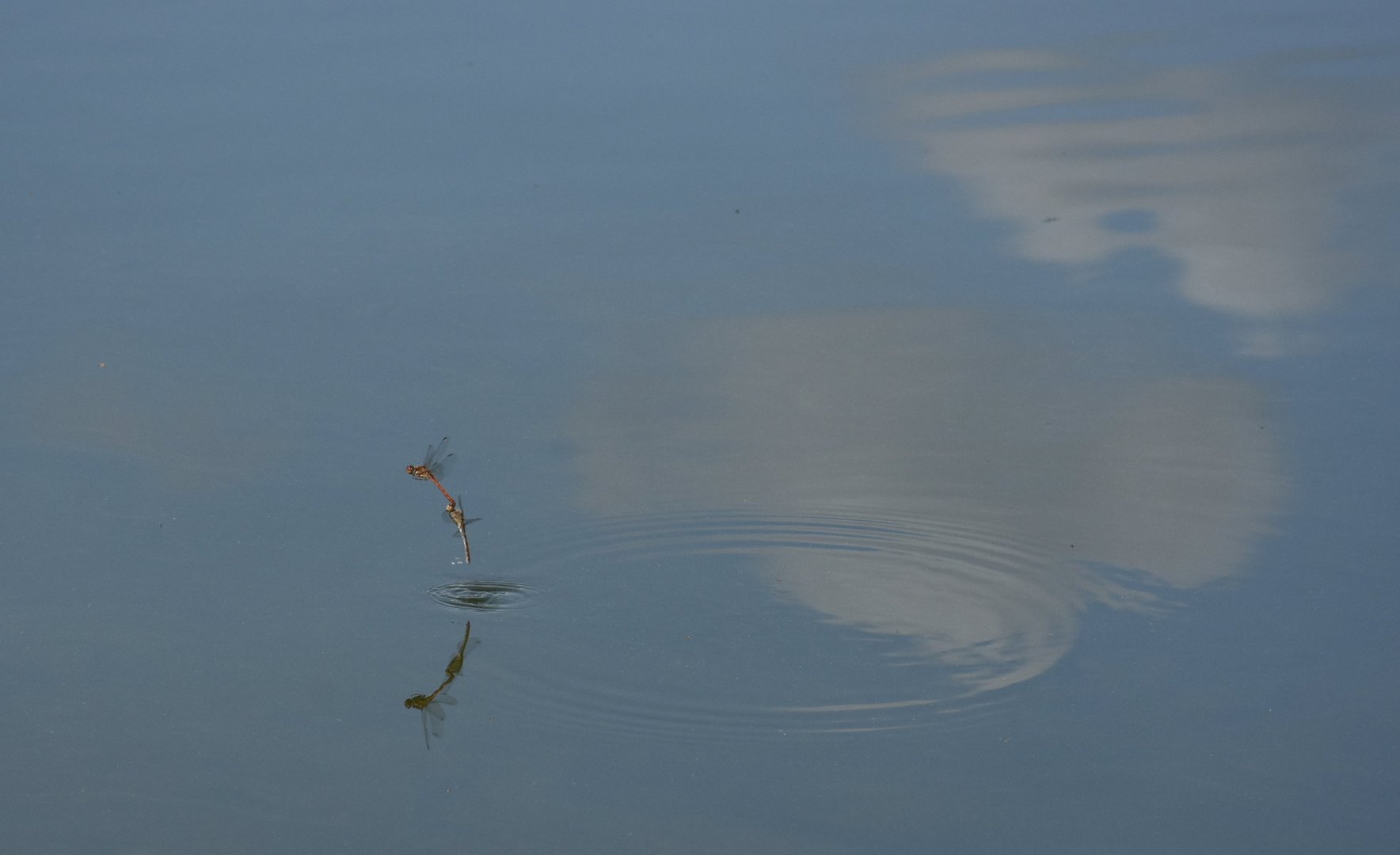 Zwischen Wasser und Himmel