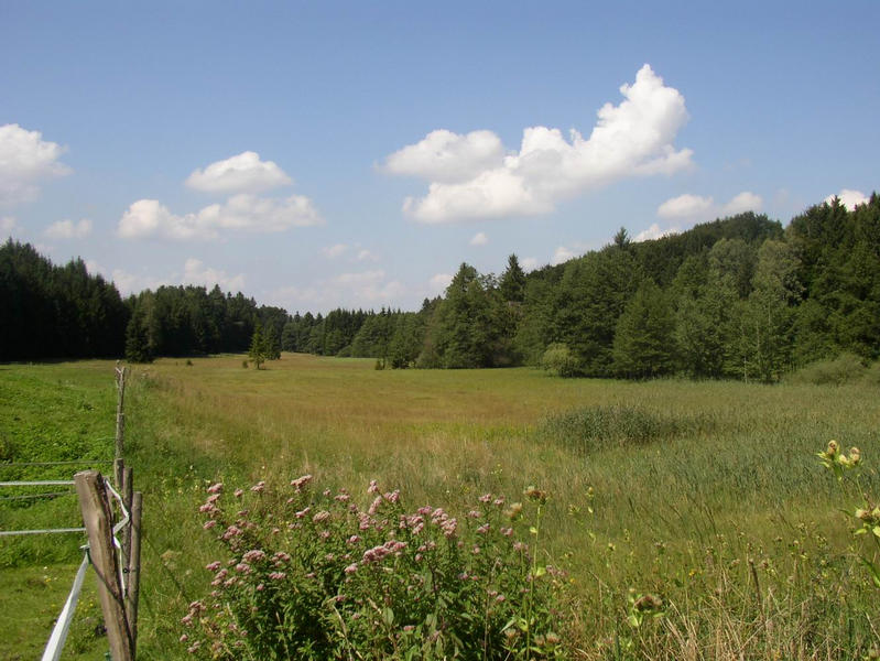 zwischen Weilheim und Starnberger See