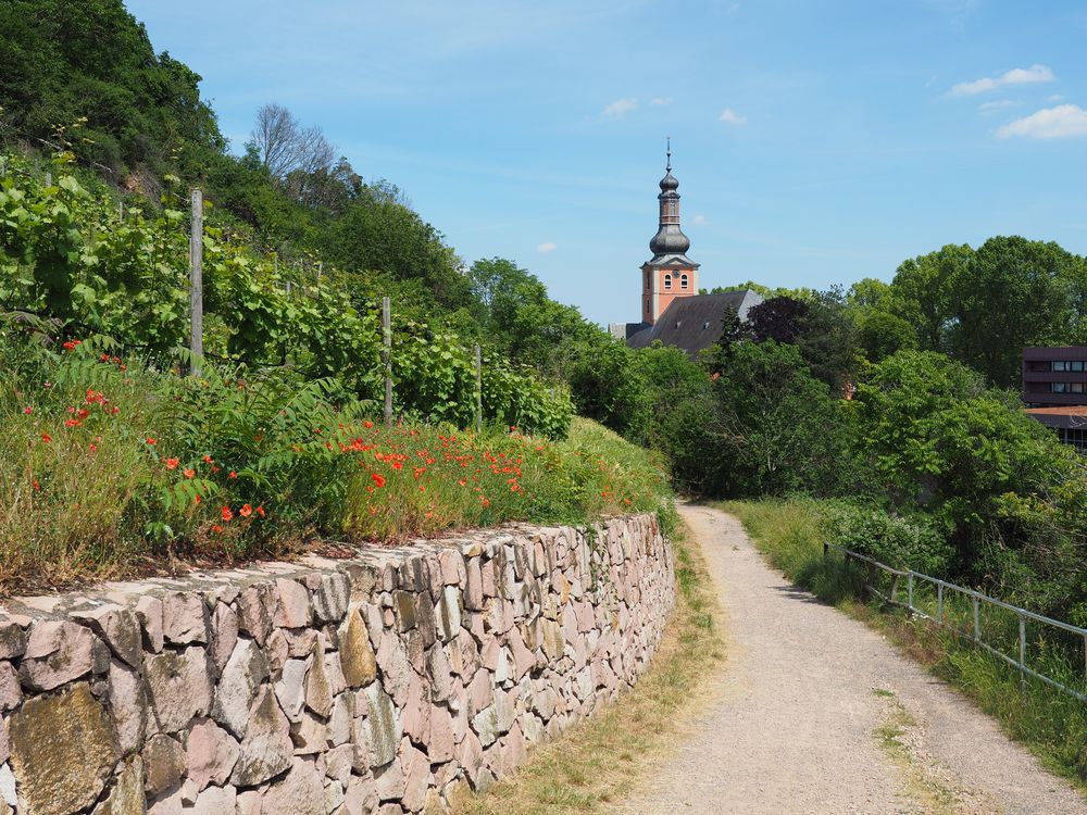 ..zwischen Wein & Mohn