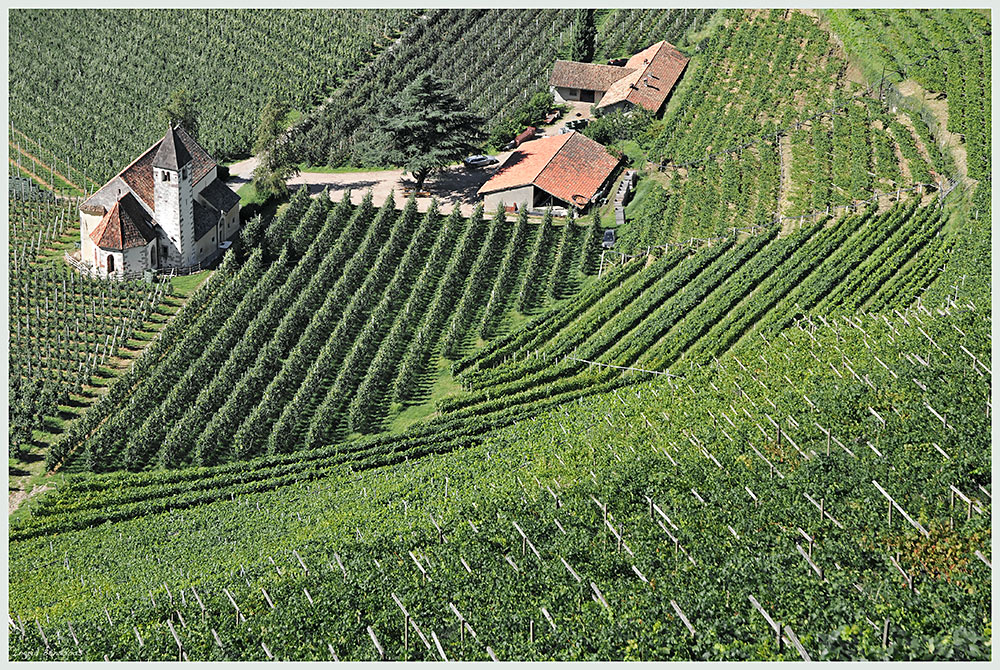 zwischen Wein und Äpfeln