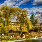 ZWISCHEN WINTER, DER KEINER WAR, UND FRÜHLING