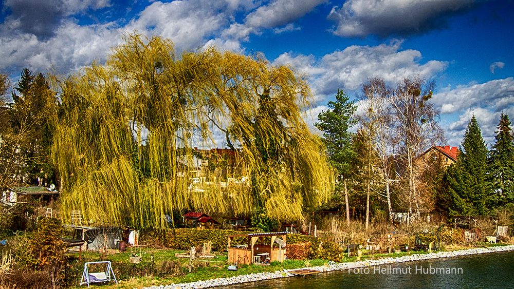 ZWISCHEN WINTER, DER KEINER WAR, UND FRÜHLING