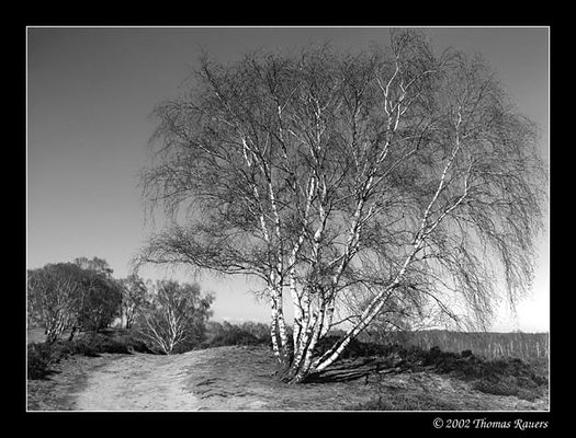 Zwischen Winter und Frühjahr