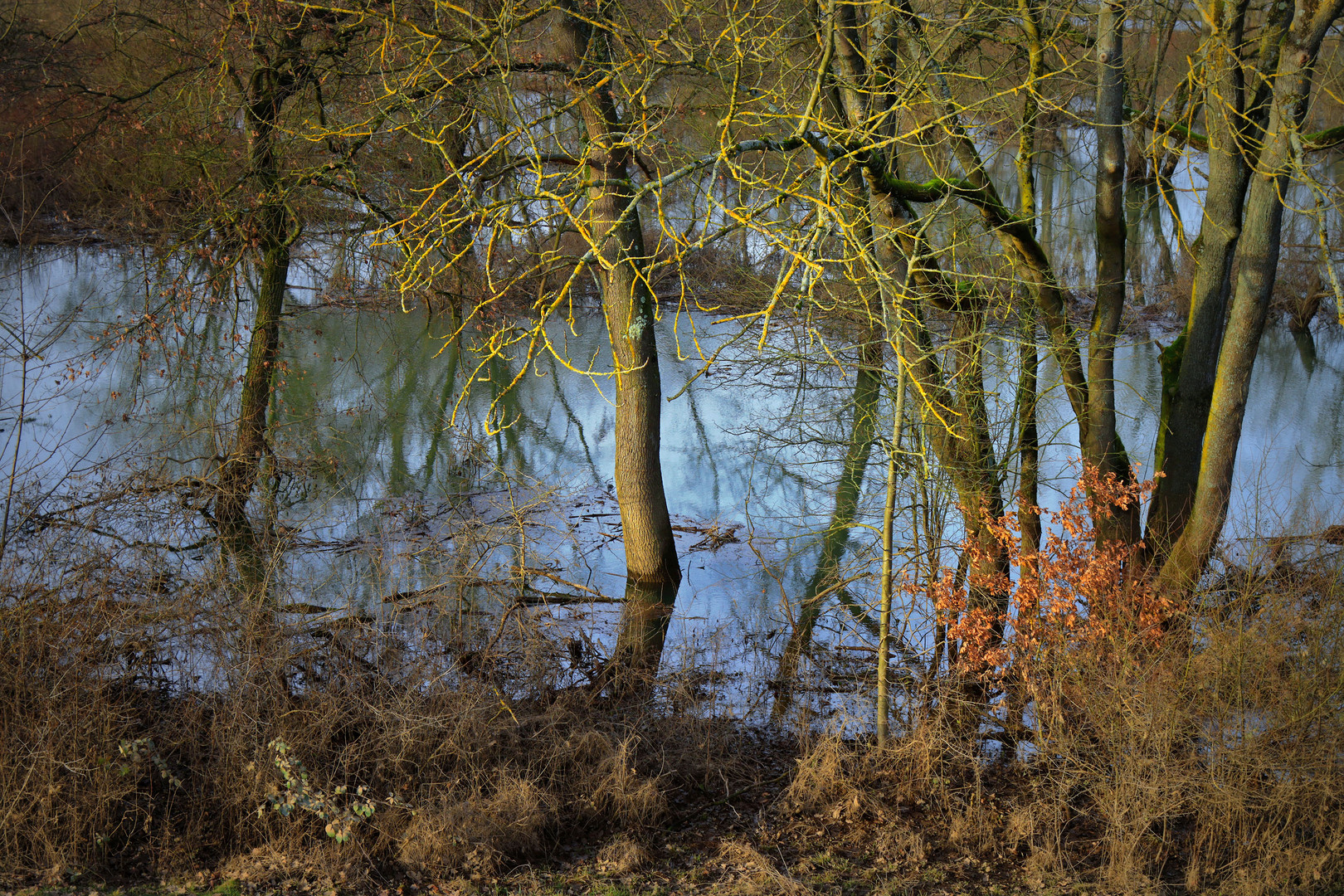 Zwischen Winter und Frühjahr