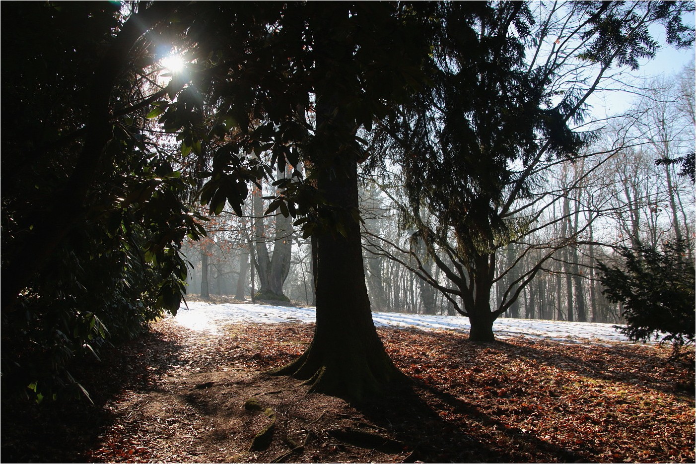 Zwischen Winter und Frühling