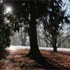 Zwischen Winter und Frühling