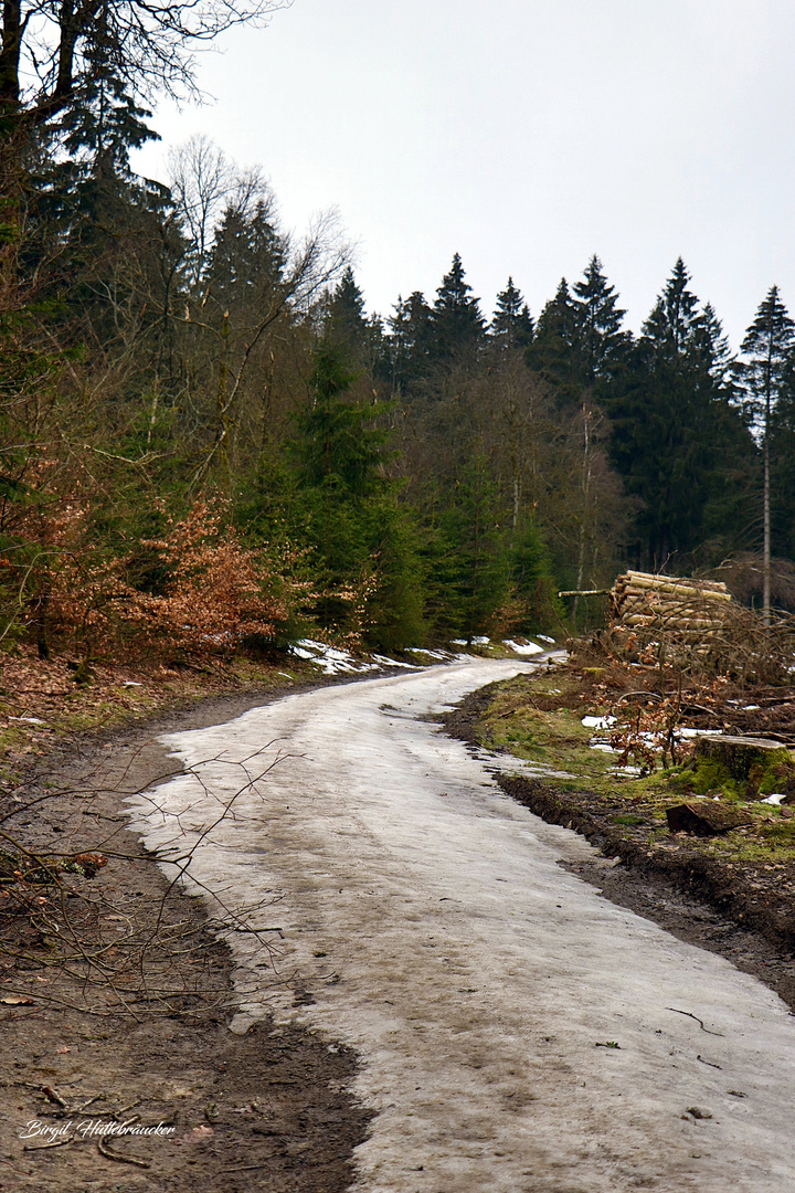 Zwischen Winter und Frühling