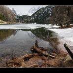 Zwischen Winter und Frühling