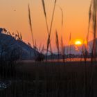 Zwischen Winter und Frühling