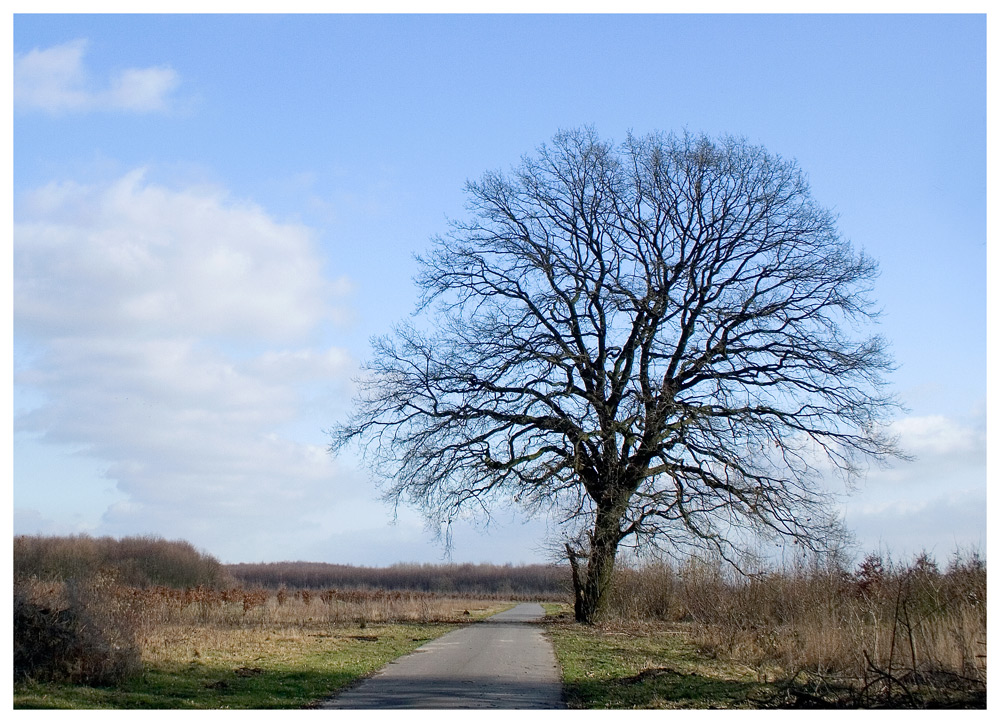 Zwischen Winter und Frühling.....