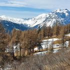 zwischen Winter und Frühling