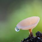 zwischen Winter und Frühling