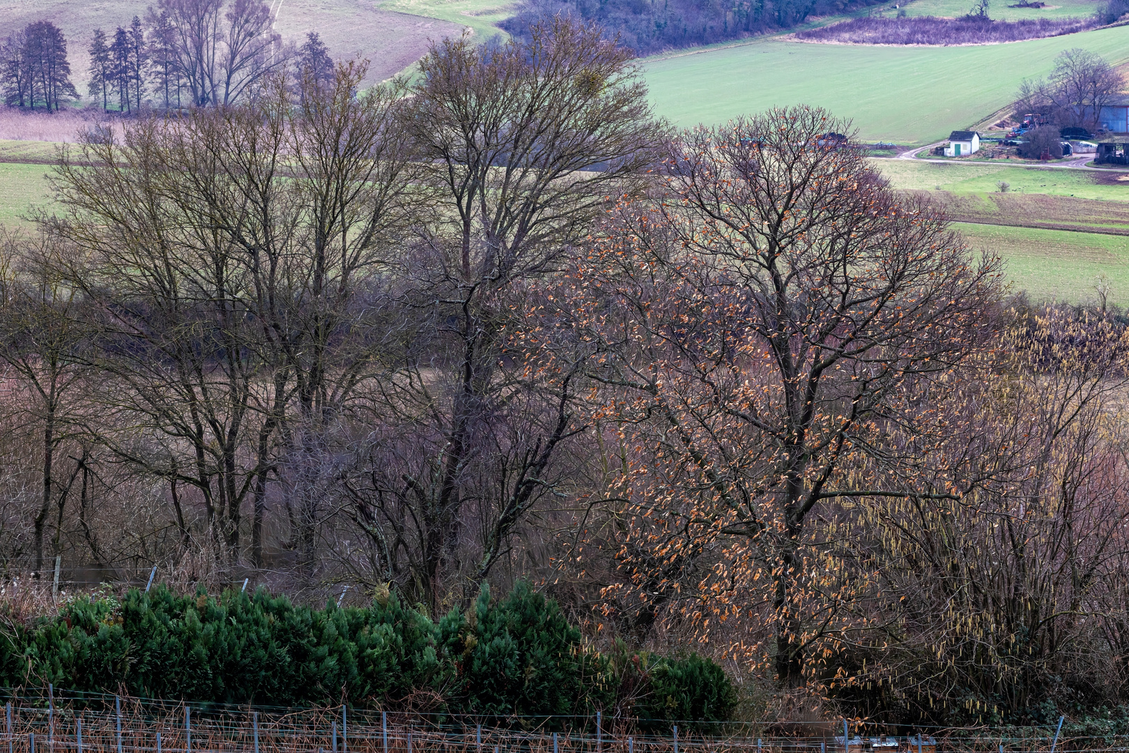 Zwischen Winter und Frühling