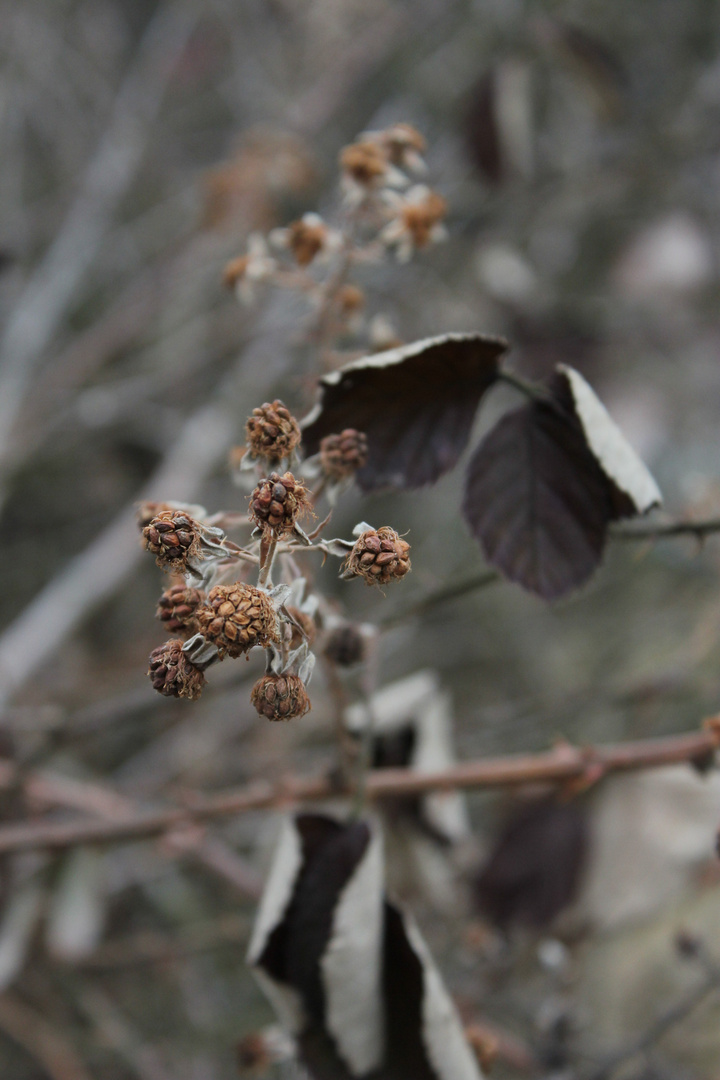 Zwischen Winter und Frühling