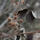 Zwischen Winter und Frühling