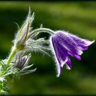 Zwischen Winter und Frühling