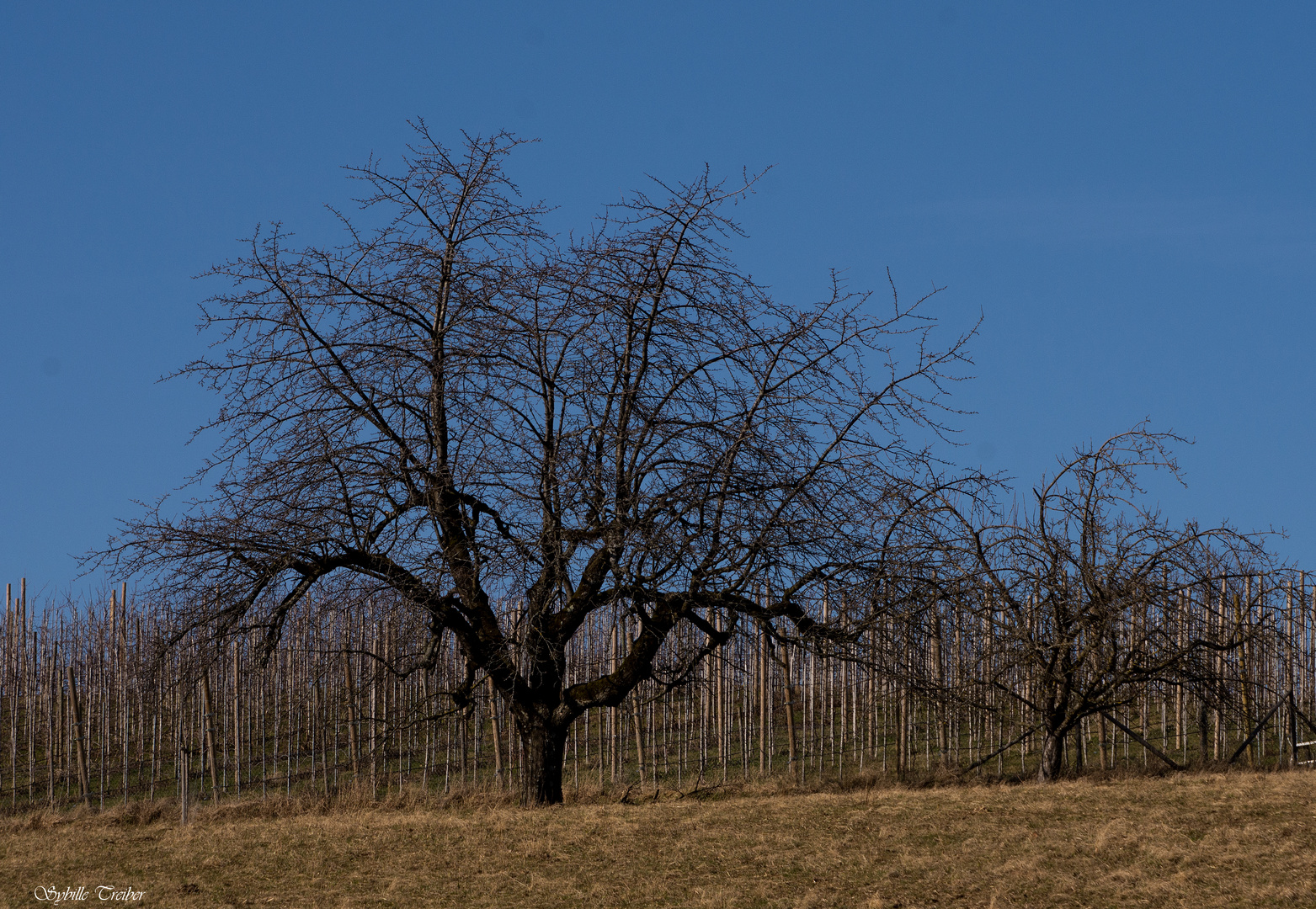 Zwischen Winter und Frühling