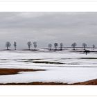 Zwischen Winter und Frühling