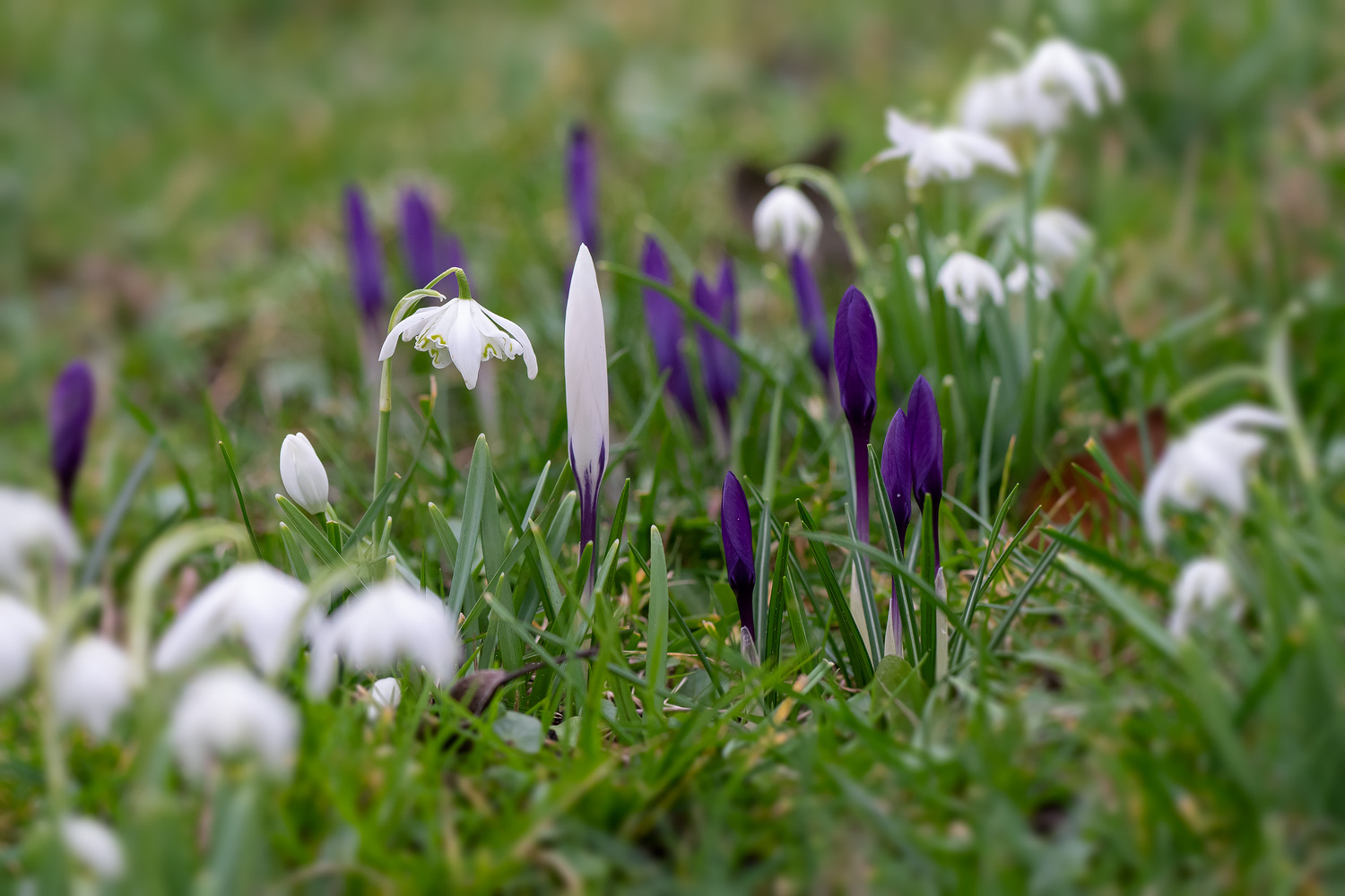 zwischen Winter und Frühling